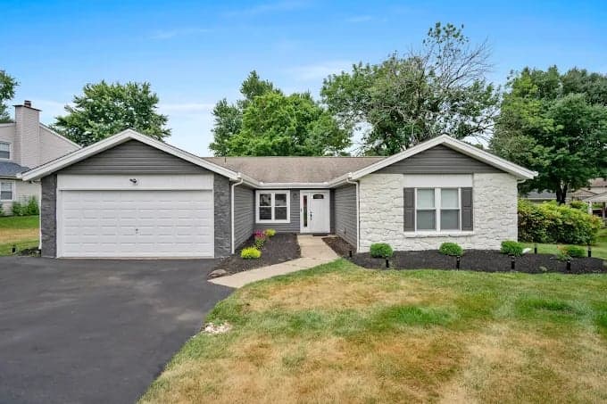 PAINT Newtown gallery image 2