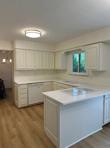 SC Quality Painting gallery image 1