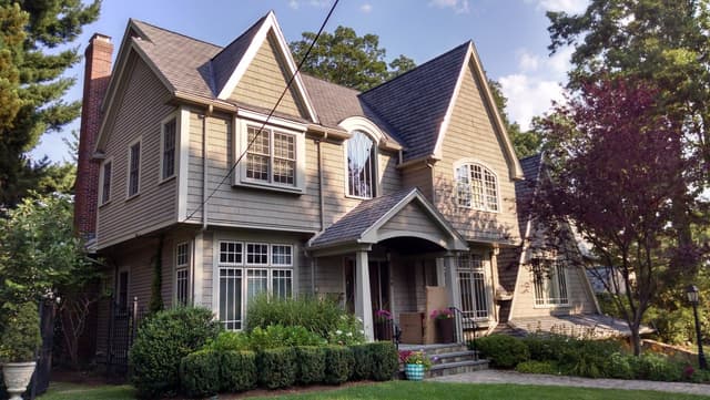 Catchlight Painting gallery image