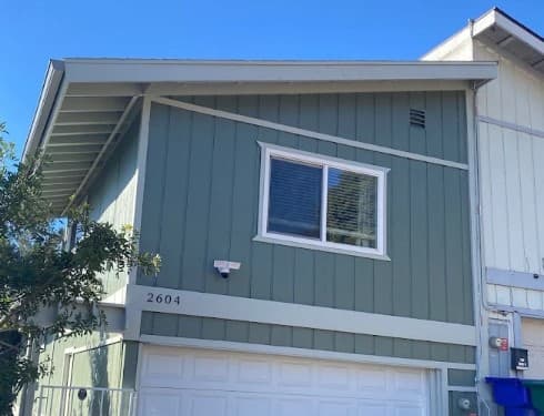 PB Painting gallery image 4