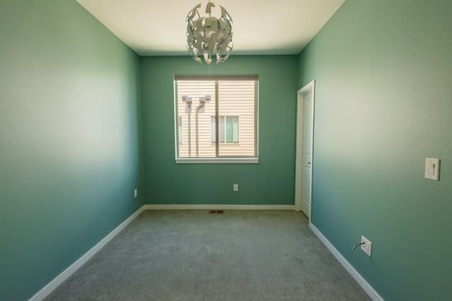 Paint Denver gallery image