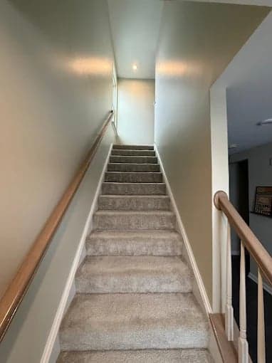 DeltaPro Painters gallery image 3