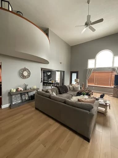 Trucoat Painting Plus gallery image 4