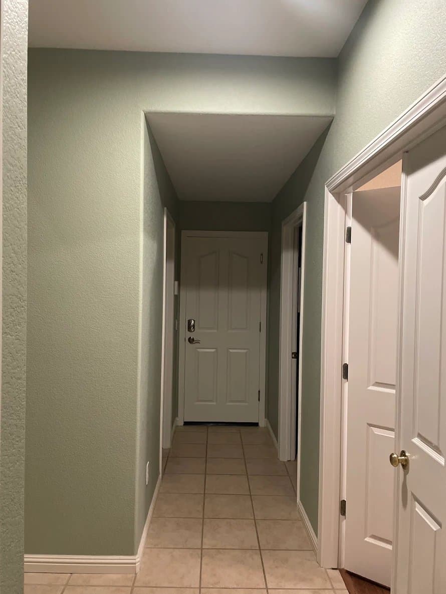 Trico Painting gallery image 1