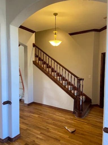 Mancini Custom Painting gallery image 4