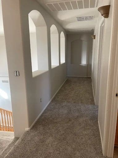 Sal's precision painting gallery image 2