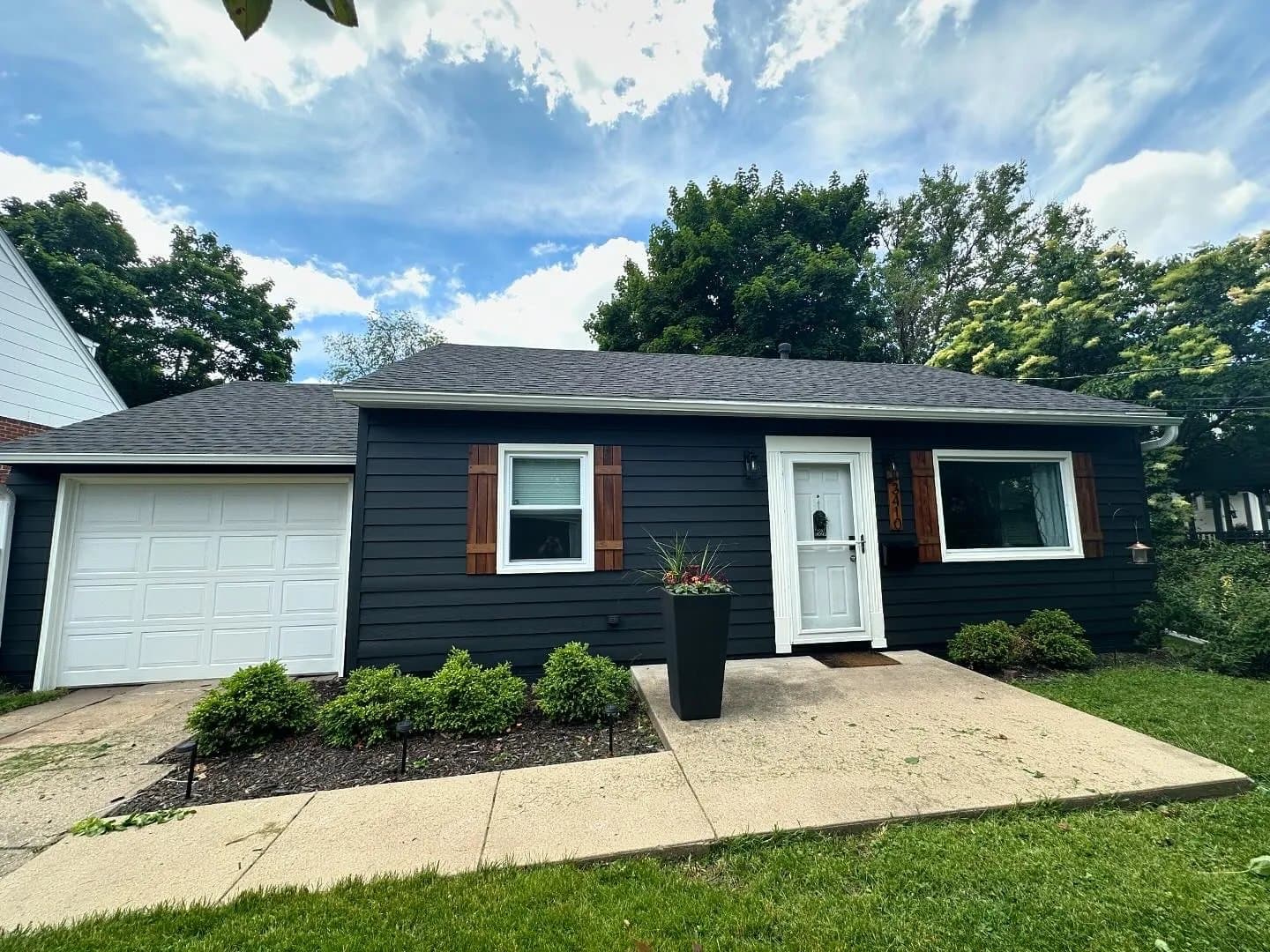 Zoab Painting gallery image 4