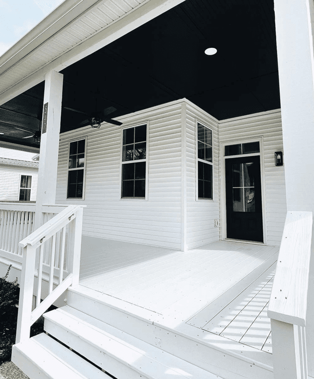 Pointer Painting gallery image 3