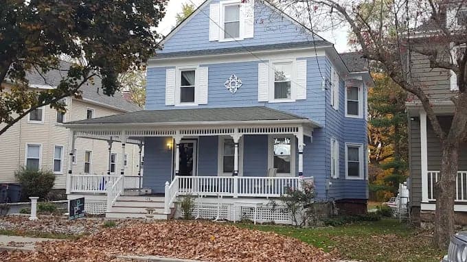 Pro Painting Plus gallery image 2