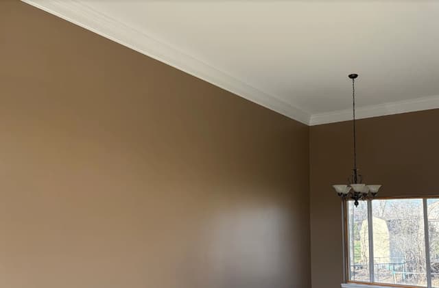 White Chooz Painters logo with blue background placeholder for paintig company logos