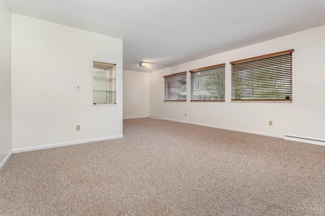 White Chooz Painters logo with blue background placeholder for paintig company logos