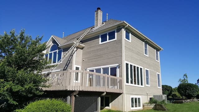 VAN GO PAINTING gallery image