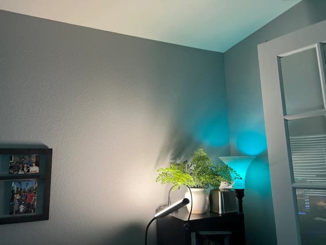 PaintPro gallery image