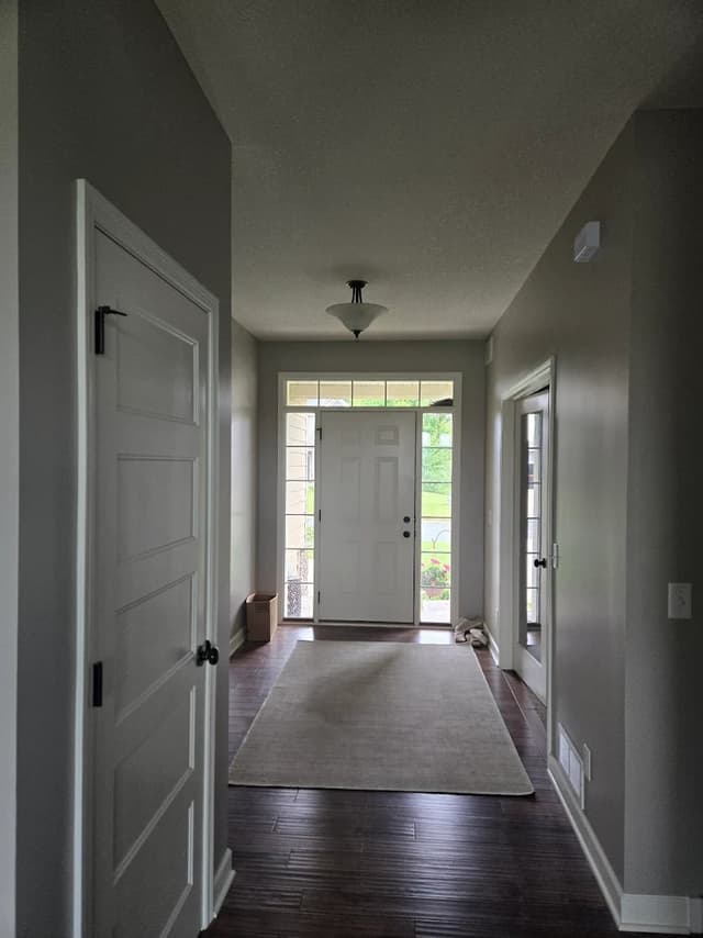 White Chooz Painters logo with blue background placeholder for paintig company logos