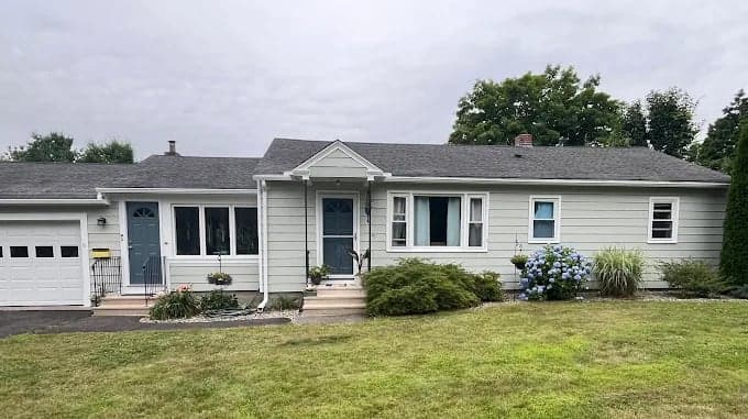 Eli Painting gallery image 4