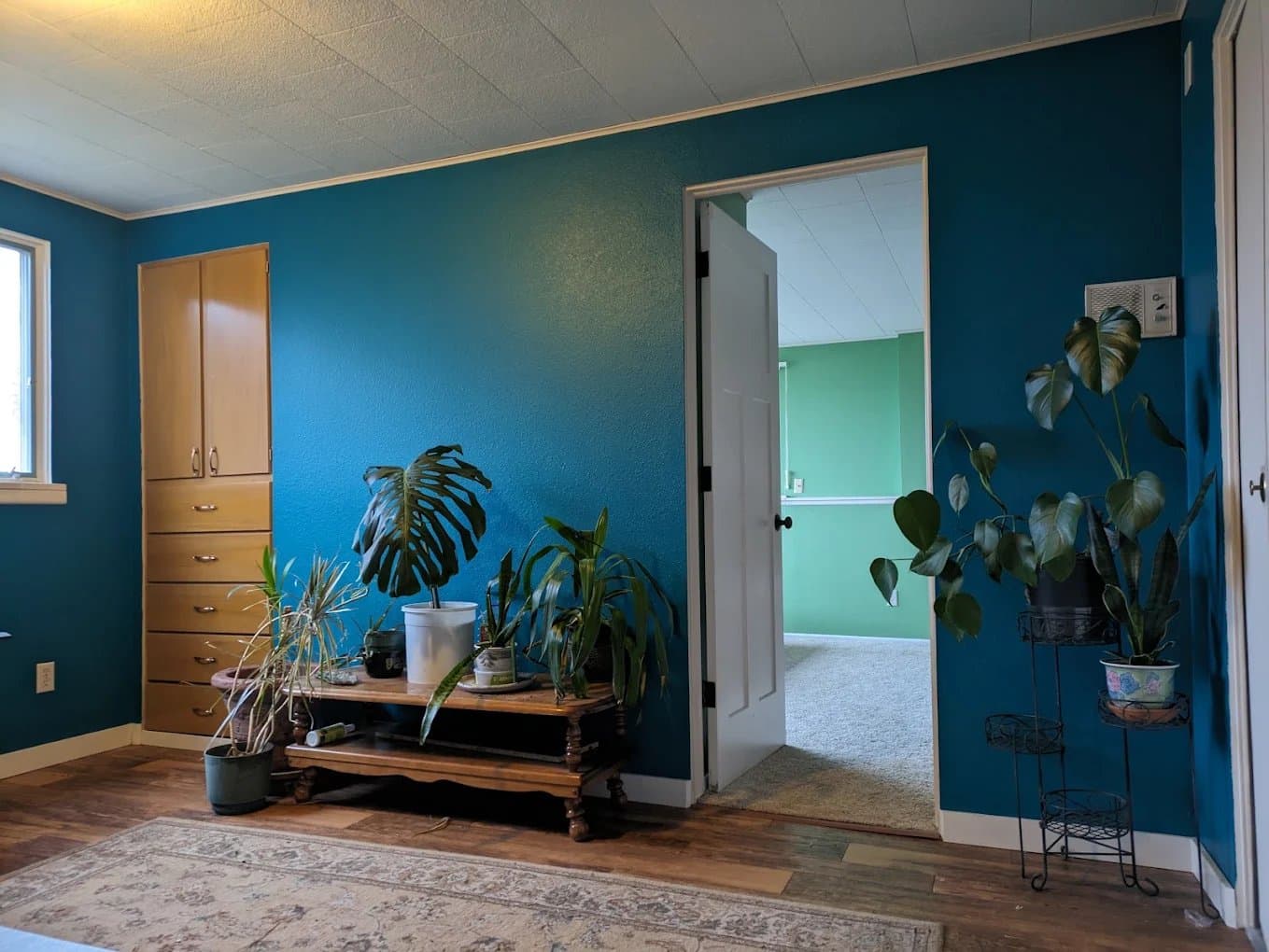 Davy Montana Painting gallery image 2