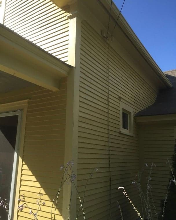 Big Dog Painting - Woburn Painters gallery image