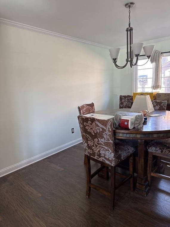 A1 Pro Painters & Renovating LLC gallery image 2