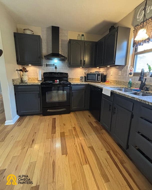 Alpha Omega Painters LLC gallery image
