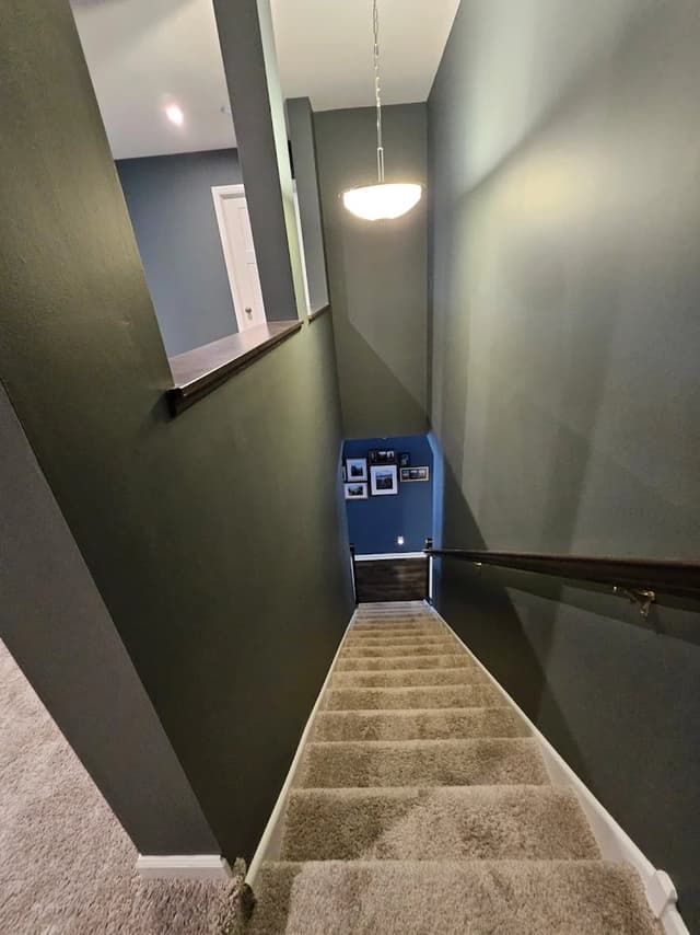 White Chooz Painters logo with blue background placeholder for paintig company logos