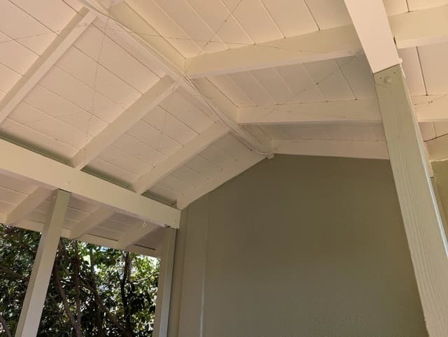 White Chooz Painters logo with blue background placeholder for paintig company logos