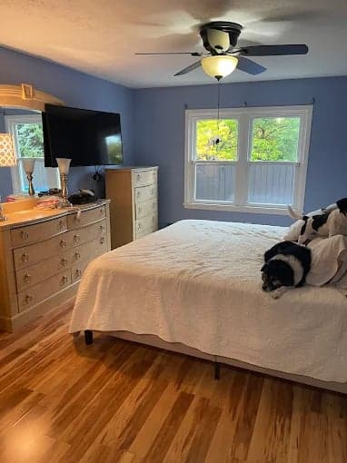 Busy Bee Painting Company LLC gallery image 4