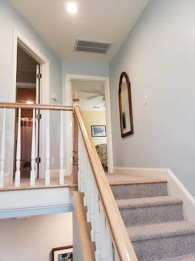 East Coast Painting Services gallery image 1