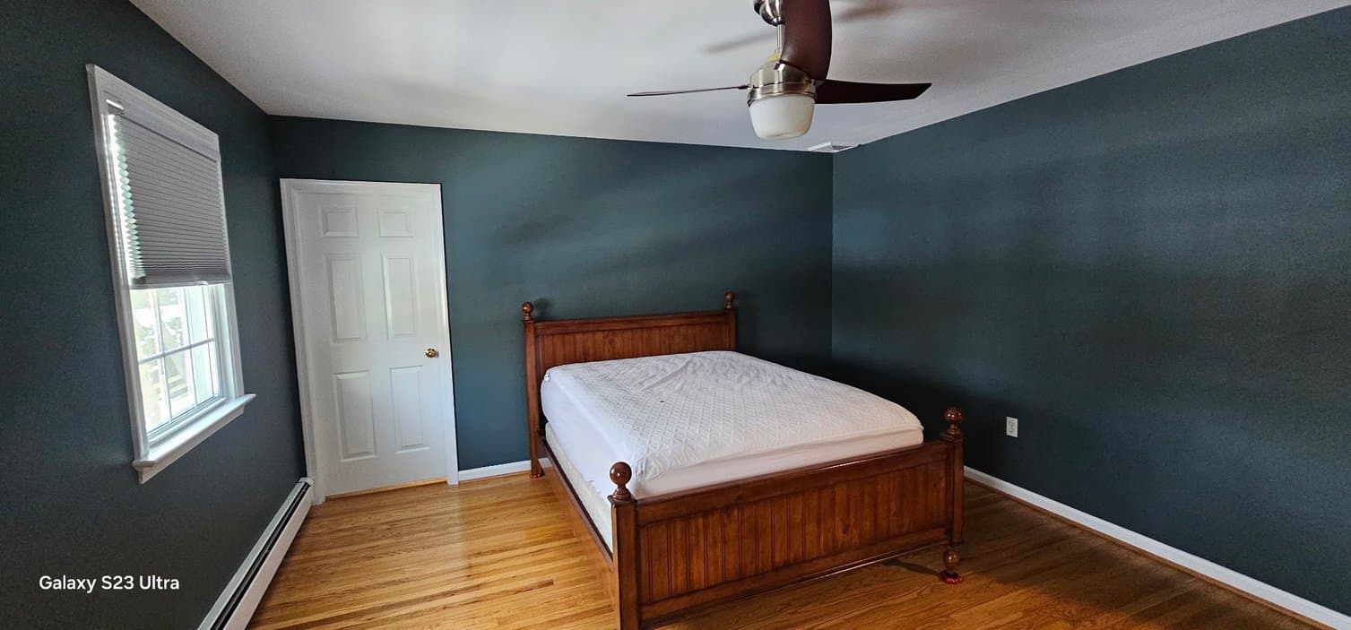 Lotty's Professional Painting gallery image 4