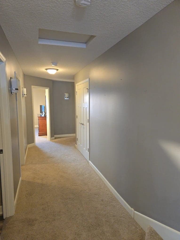 That 1 Painter Twin Cities gallery image 4