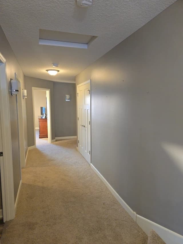 White Chooz Painters logo with blue background placeholder for paintig company logos