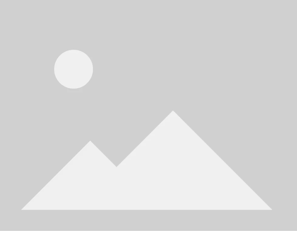 Belluno's Painting & Services gallery image 1