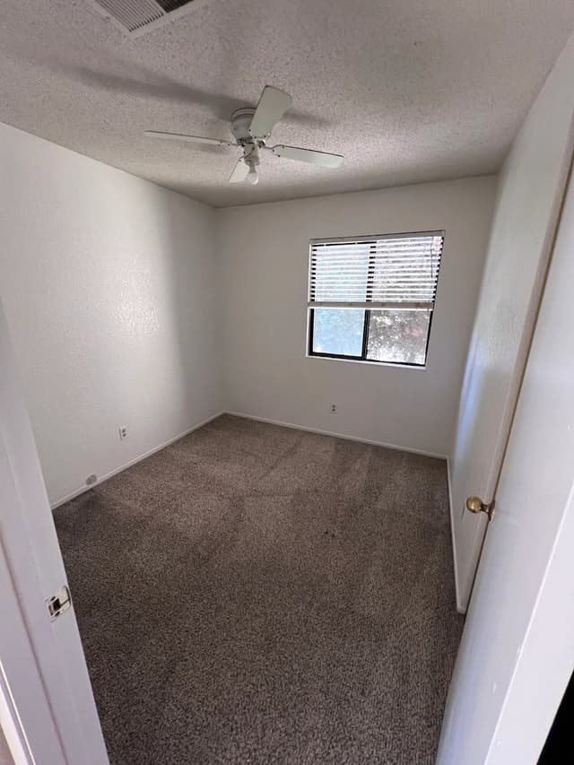 White Chooz Painters logo with blue background placeholder for paintig company logos