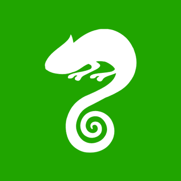 This is an image from Color Changer, LLC company, located in Hayden, ID The image is a Color Changer LLC logo with a white chameleon silhouette on a green background, symbolizing painting and color transformation services.