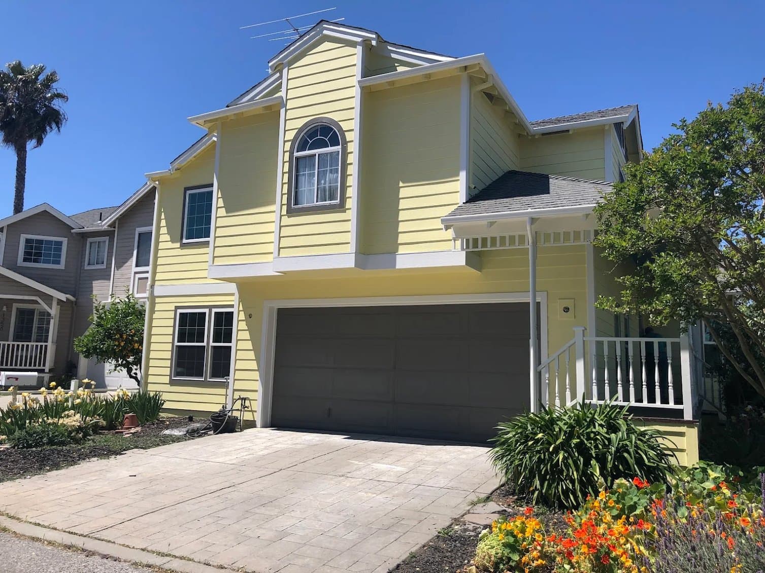 El Gato Painting gallery image 4