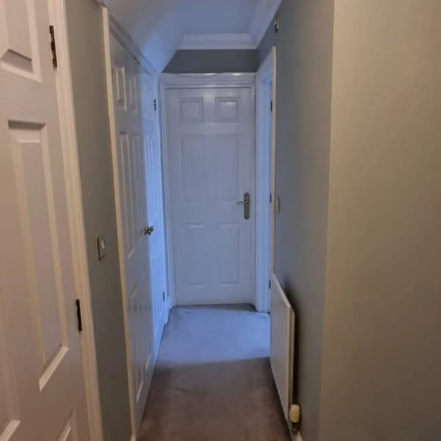 Sir Paints A Lot gallery image