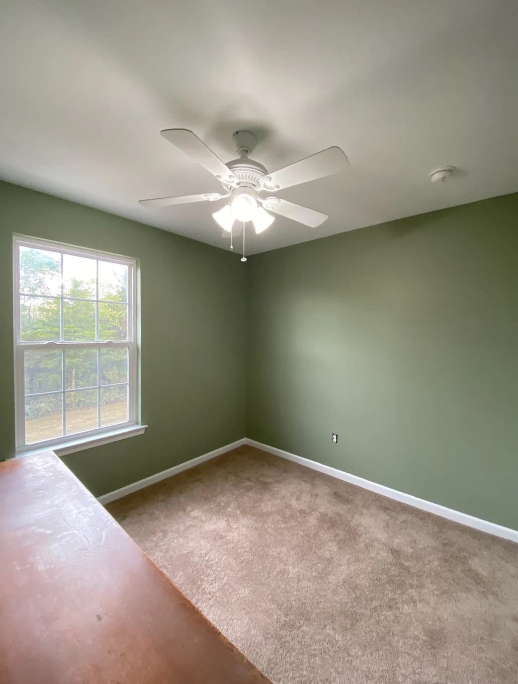 Ziegler Painting & Drywall Repairs gallery image 3