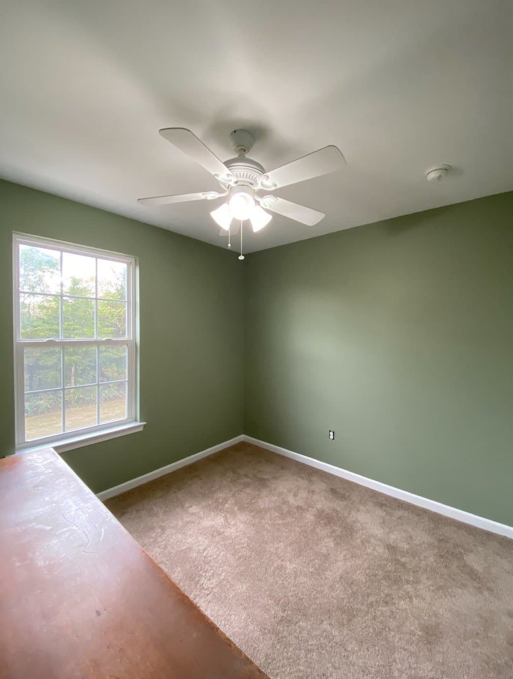 Ziegler Painting & Drywall Repairs gallery image 3