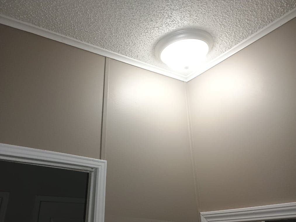 Carlos' Paint Company gallery image 2