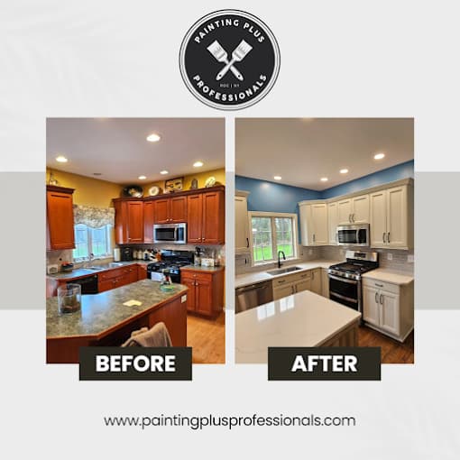 Painting Plus Professionals gallery image 3