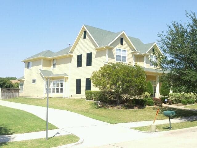 Nathan's Painters gallery image 4