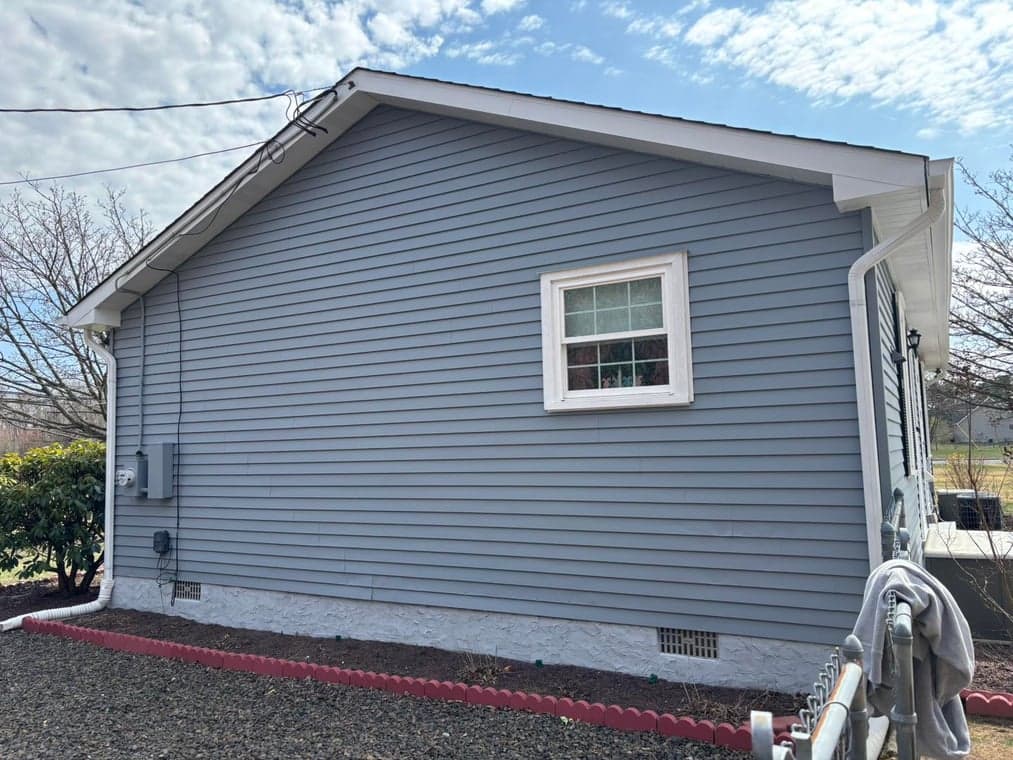 Wallpro Painting gallery image 2