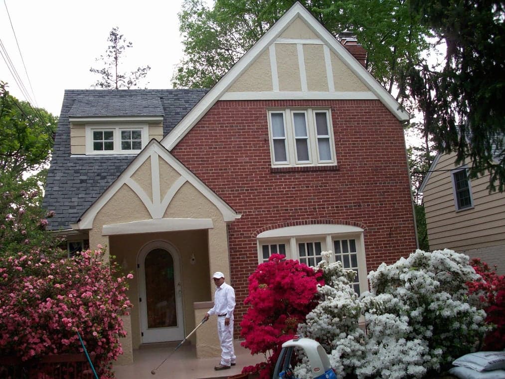 Maximo Painting gallery image 4