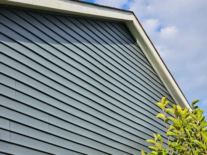 SC Quality Painting gallery image 2