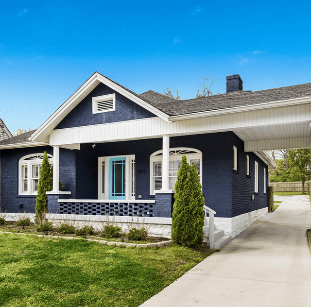 Pointer Painting gallery image