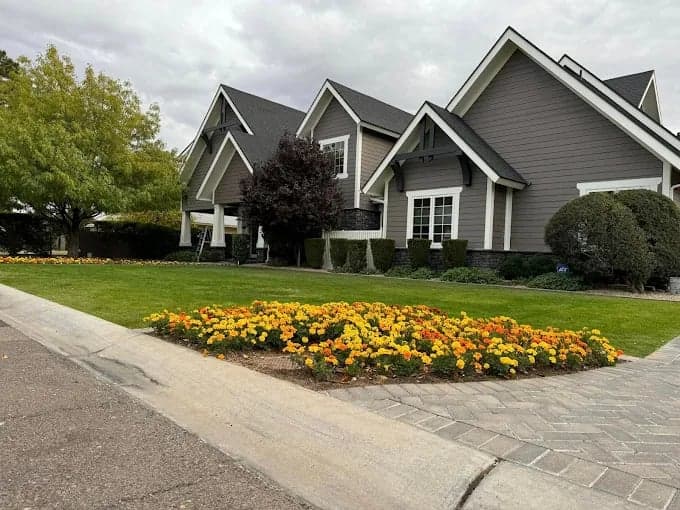 Domar Painting llc gallery image 2