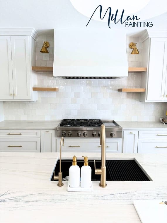 White Chooz Painters logo with blue background placeholder for paintig company logos