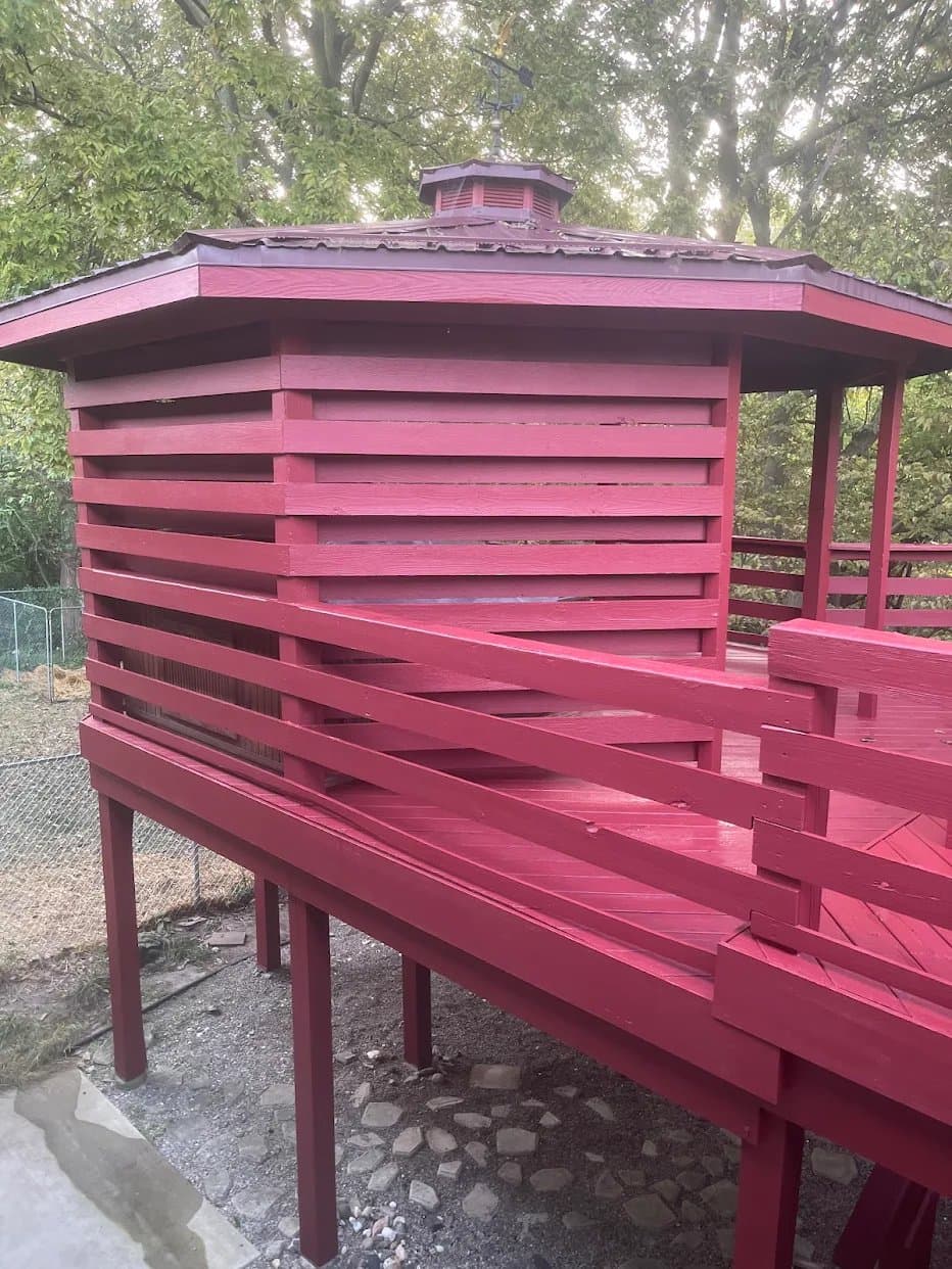 Painting Services Plus LLC gallery image 2