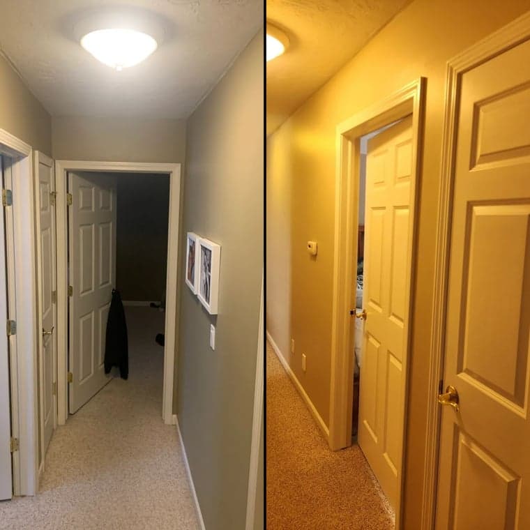 Staib & Son Painting & Decorating LLC gallery image 1