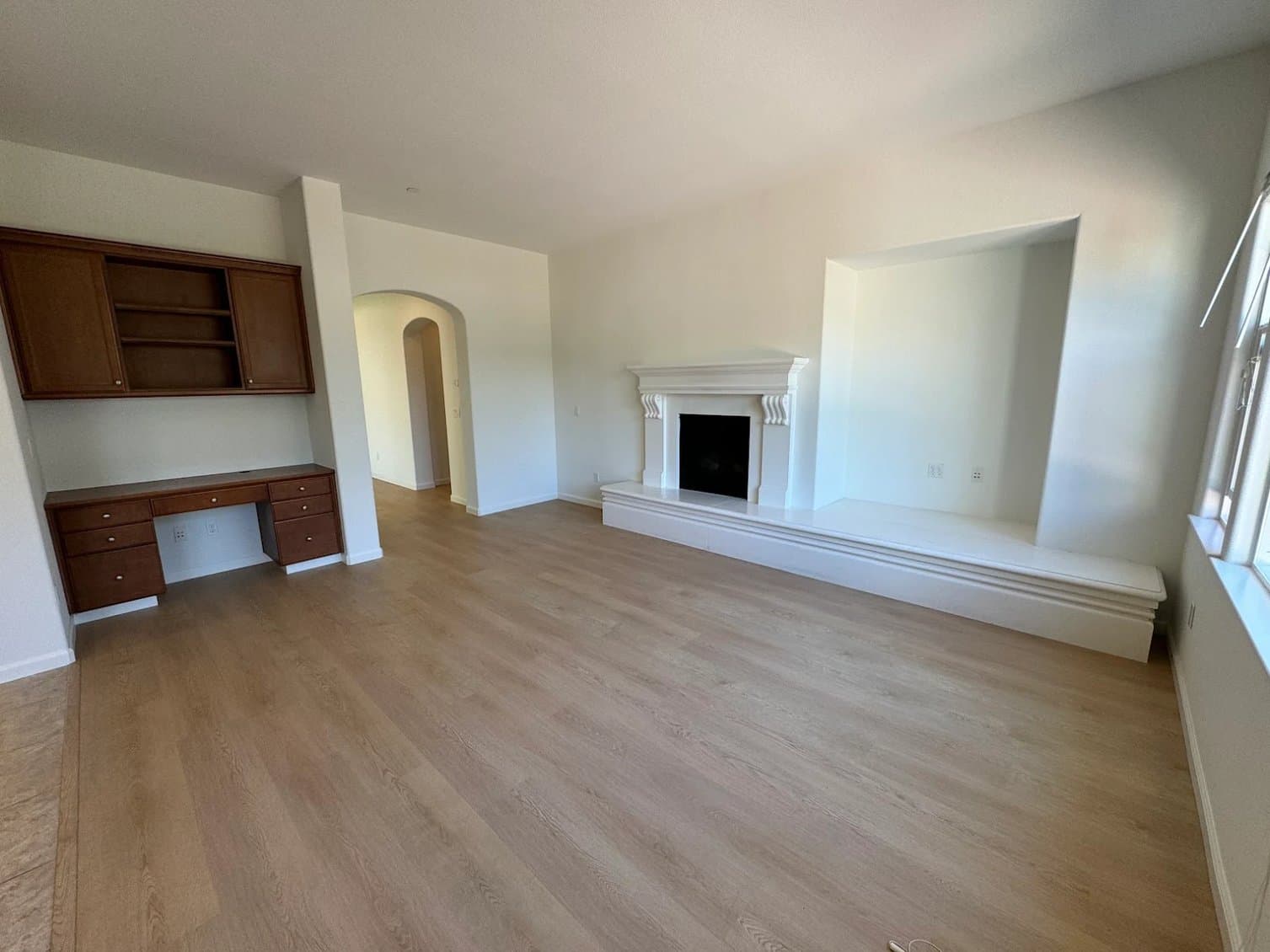 Diaz Pro Painting gallery image 2