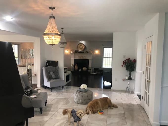 Carters ladder llc gallery image 3